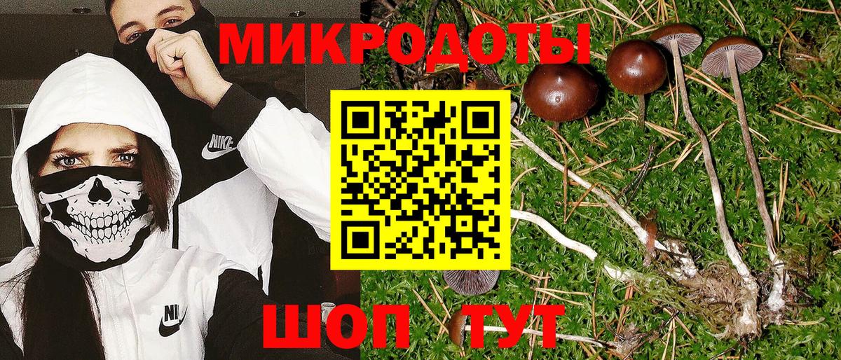 Галлюциногенные грибы MAGIC MUSHROOMS Сафоново